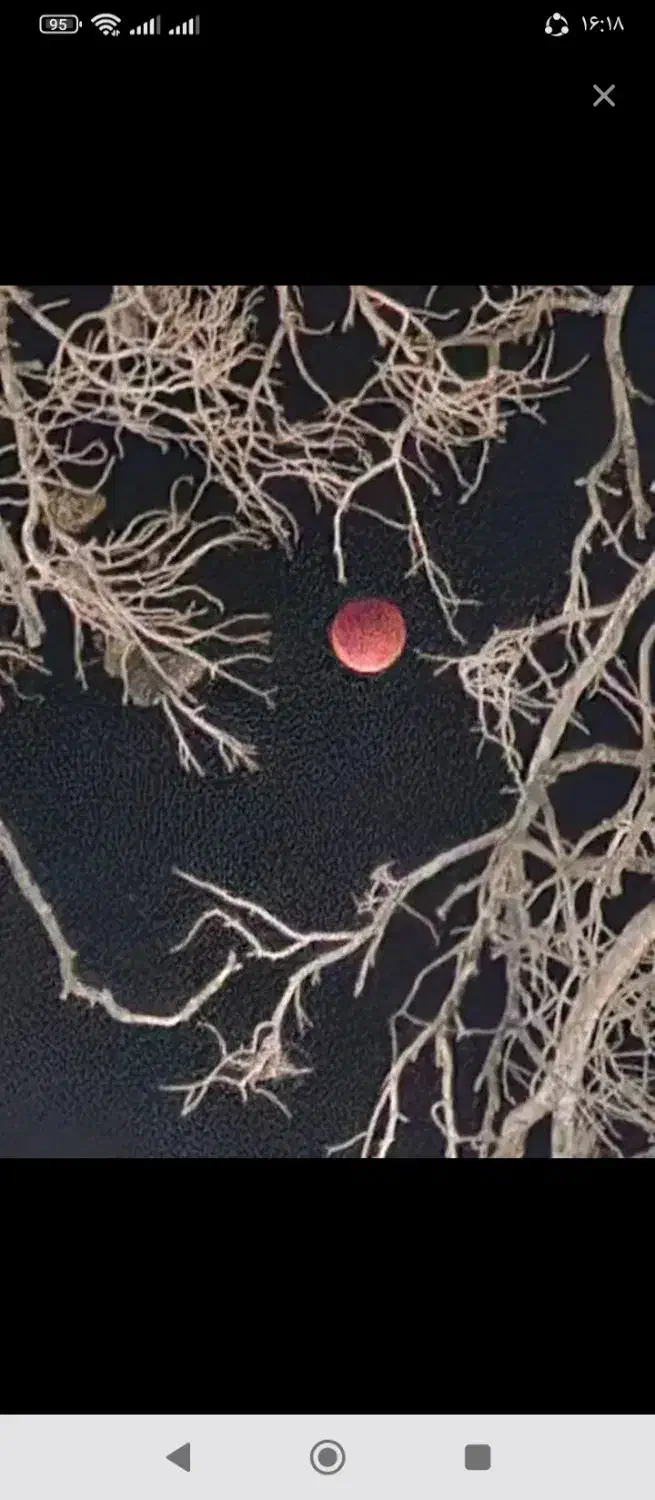 کمک میخوام|کتاب و مجله مذهبی|بردسیر, |دیوار