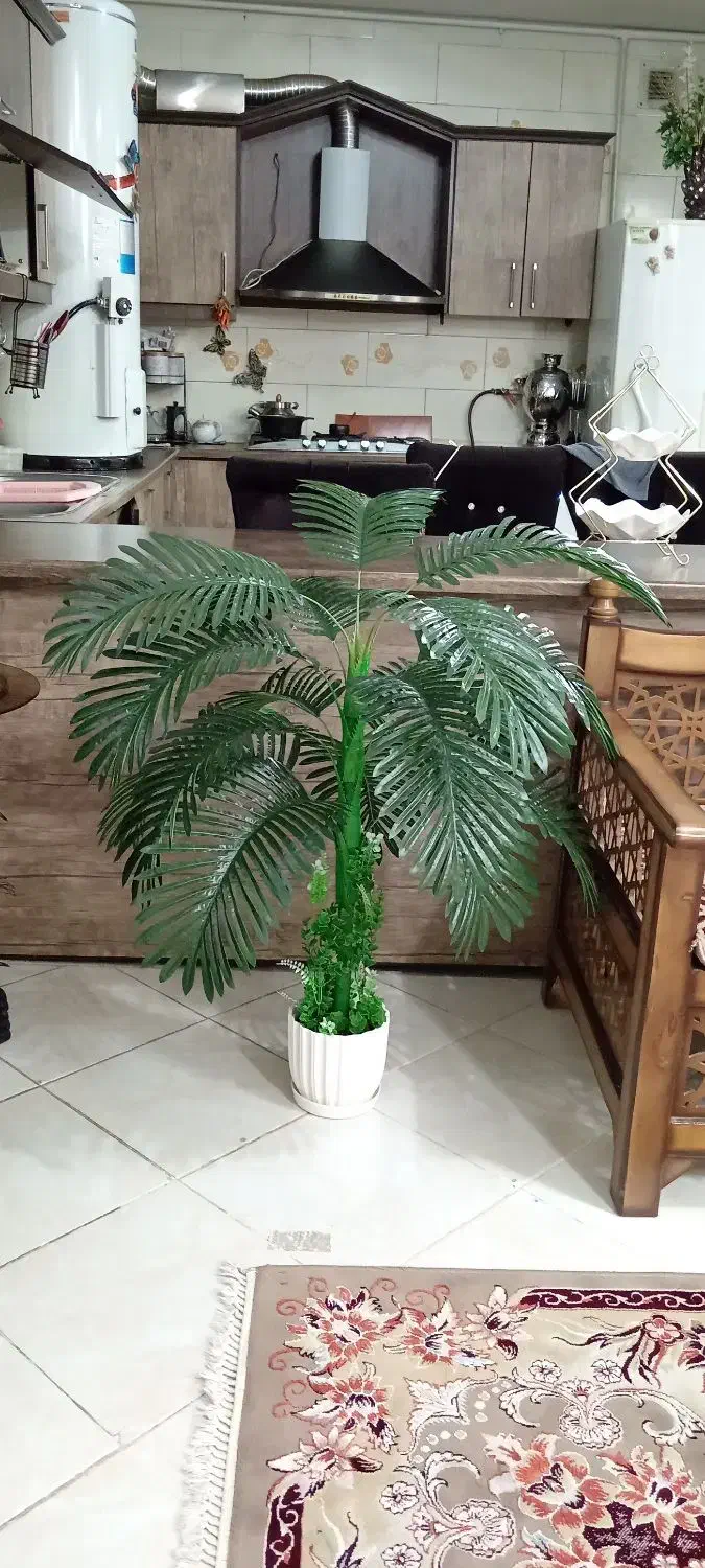 نخل شامادورا مصنوعی|گل مصنوعی|نجف‌آباد, گلدشت|دیوار