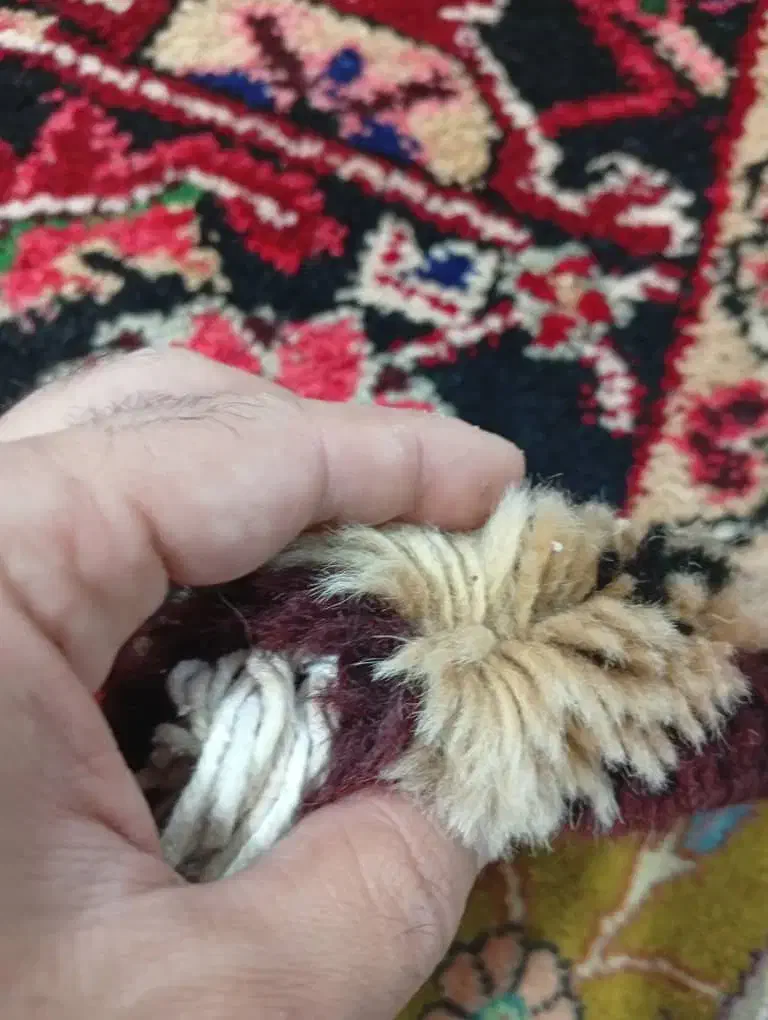 ۲عدد۹متری درحدنونو بارماخ طوخوش|فرش|تبریز, |دیوار