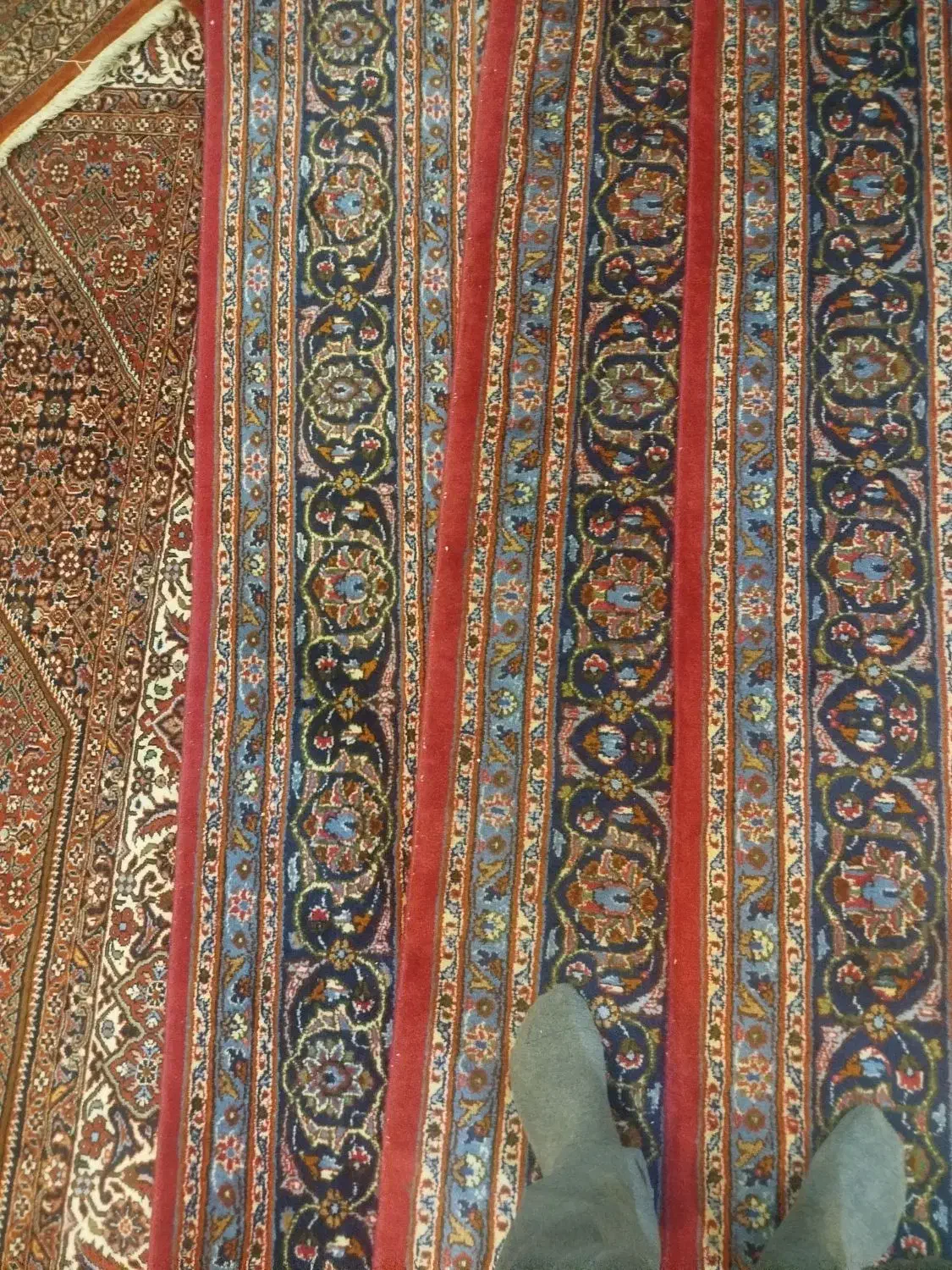 فرش کاشمر مشهد|فرش|زنجان, |دیوار