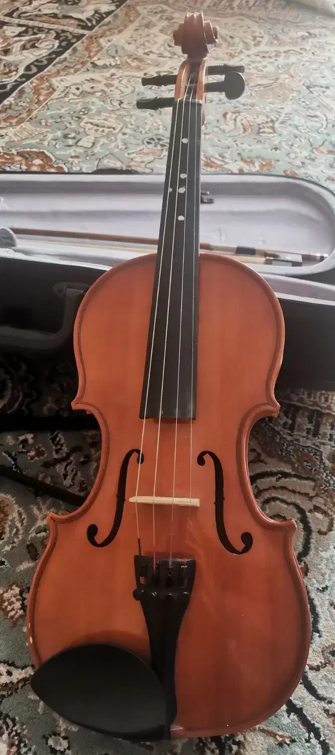 ویولن locto|ویولن|شیراز, سینما سعدی|دیوار