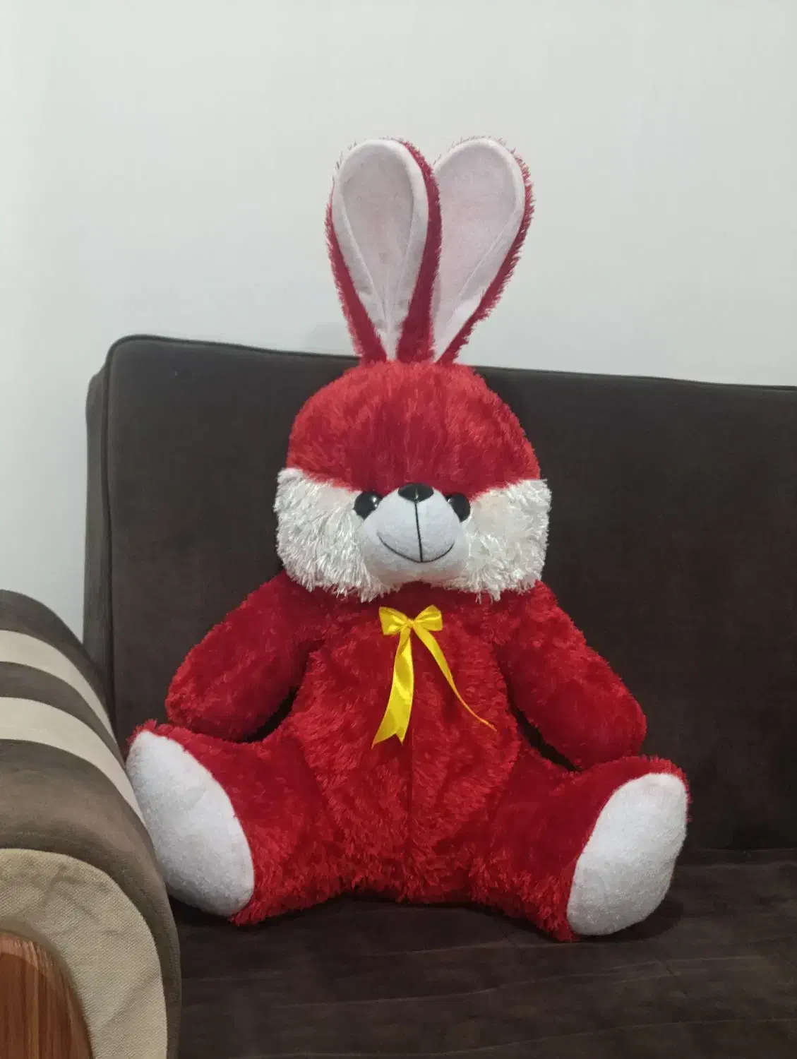 خرگوش بزرگ|موش و خرگوش|اصفهان, سرتاوه|دیوار