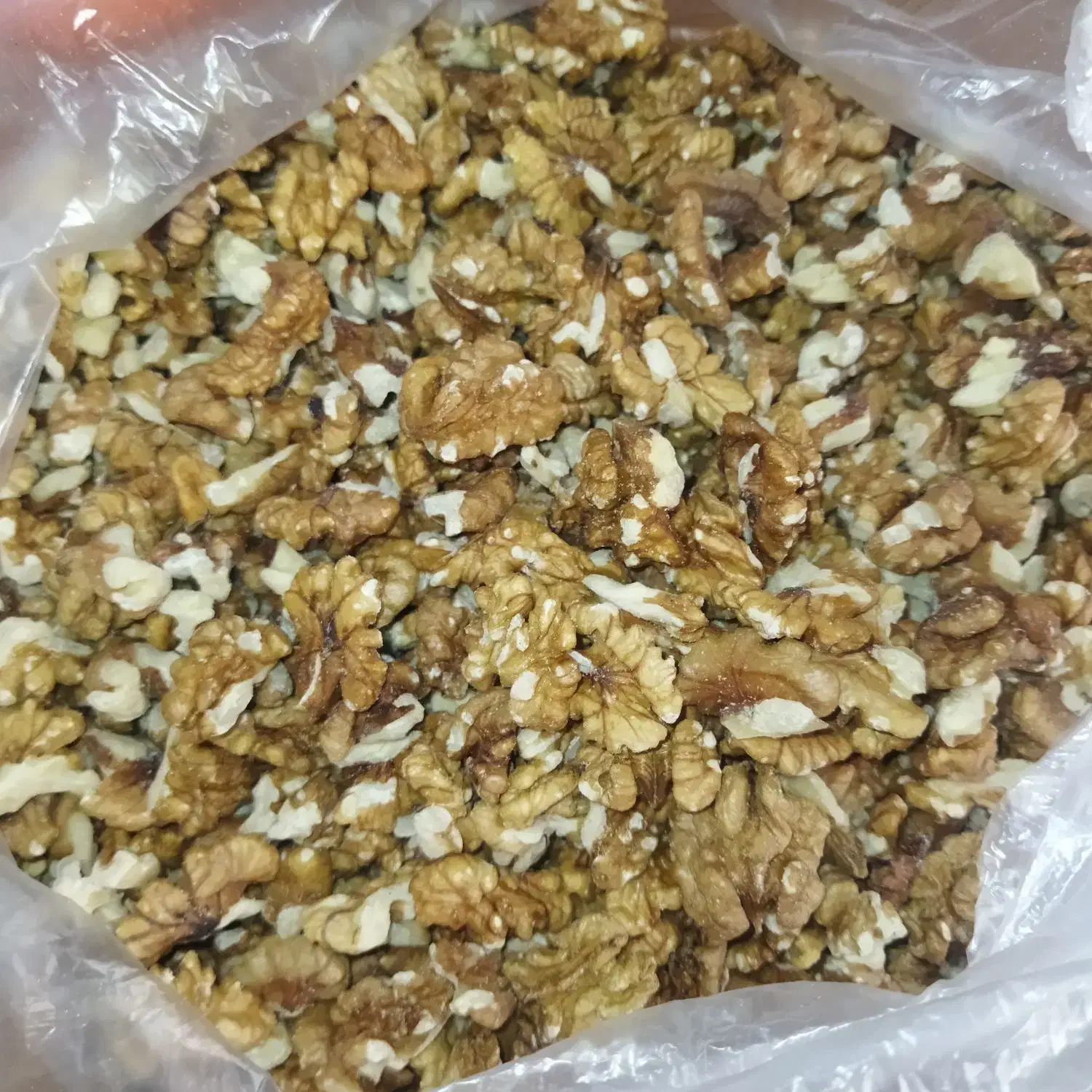 مغزگردوسالم|خوردنی و آشامیدنی|پاکدشت, پاکدشت (مامازند)|دیوار