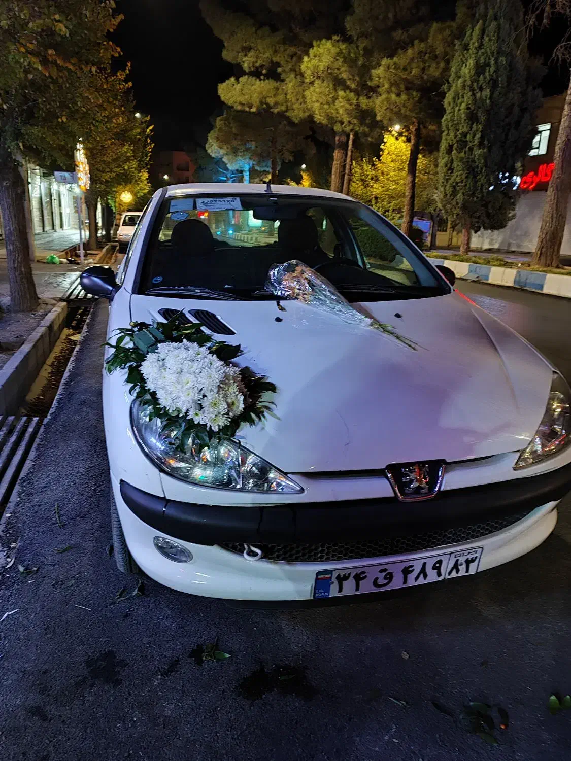 گل فروشی فلورا تخفیفات روز مادرو از دست نده|گل و گیاه طبیعی|آباده, |دیوار