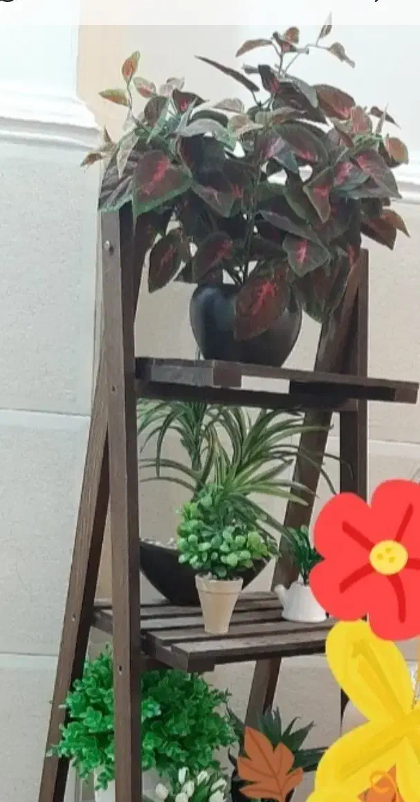 استند چوبی ۳ طبقه|کتابخانه، شلف، قفسه‌های دیواری|امیدیه, |دیوار