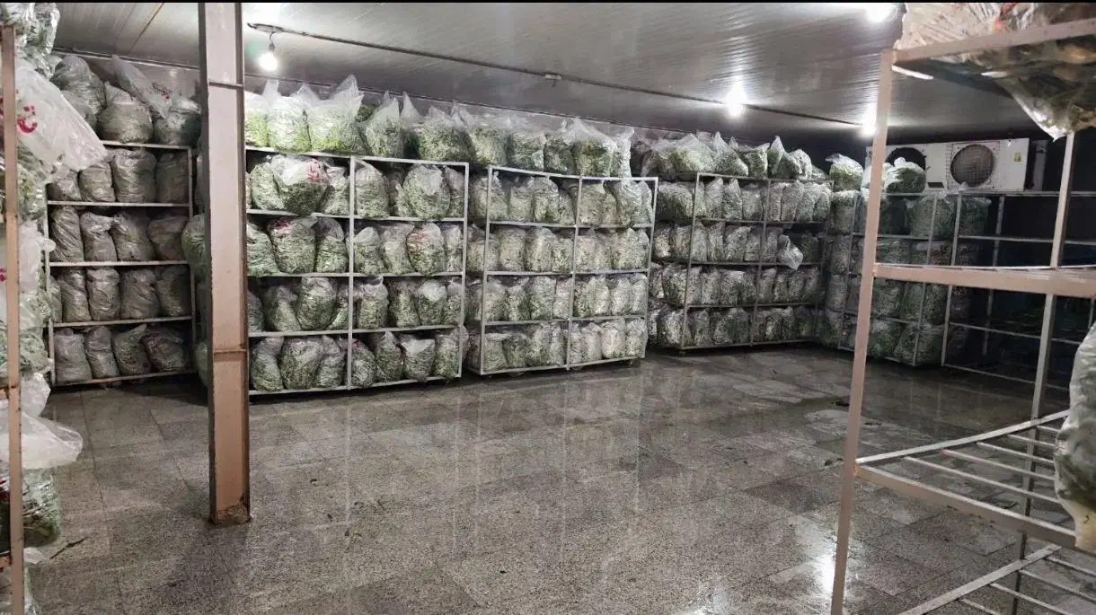 استخدام خانم واقاجهت همکاری در کارخانه سبزی پاک|استخدام صنعتی، فنی، مهندسی|تهران, خانیآباد|دیوار