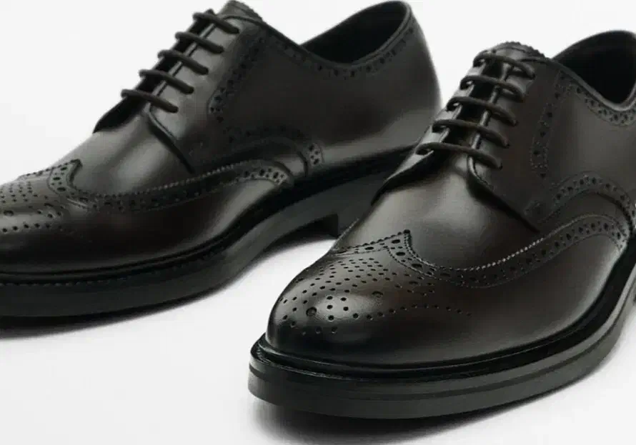 کفش چرم کلاسیک برند ماسیمو دوتی اصل|کیف، کفش، کمربند|سیرجان, |دیوار