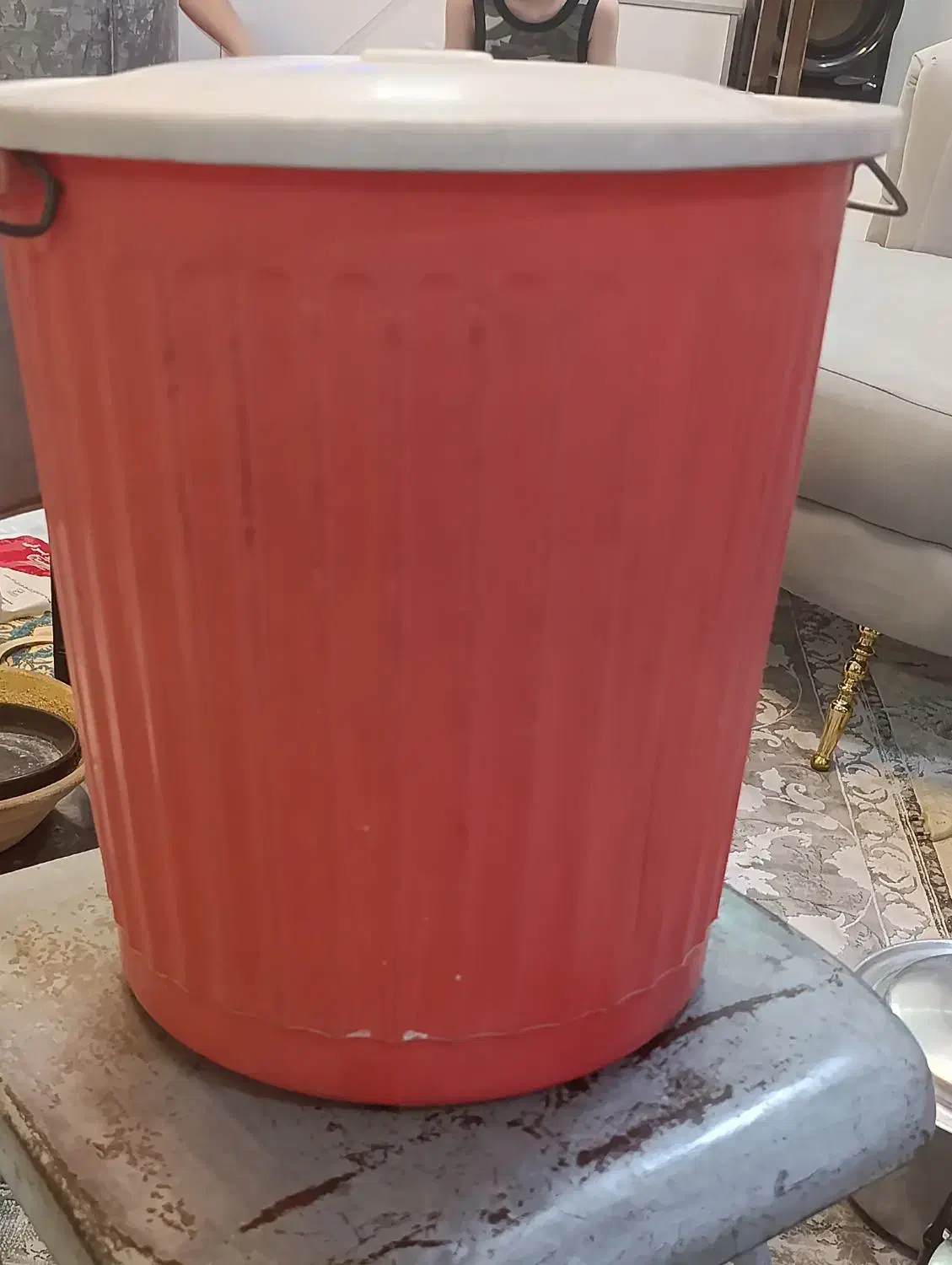 سطل بزرگ با سبد|ظروف نگهدارنده، پلاستیکی، یک‌بارمصرف|مشهد, کشف|دیوار