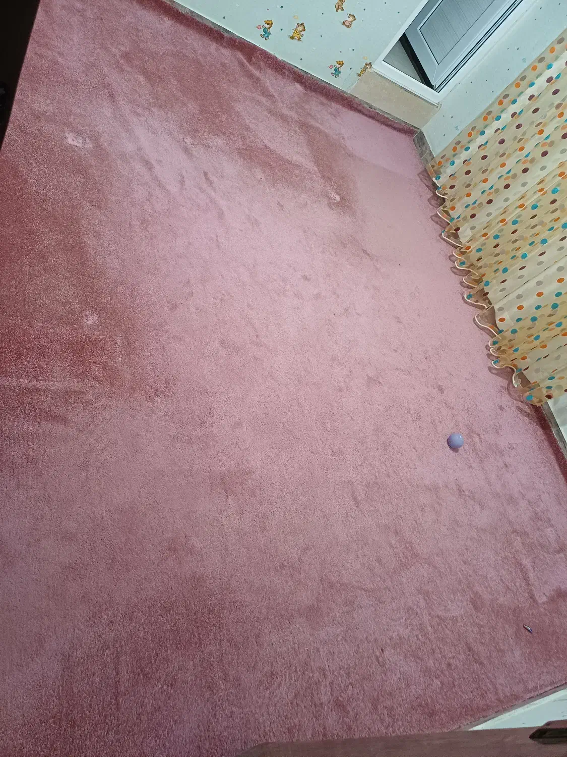 فروش دو تیکه موکت پالاز پرز بلند|موکت|قروه, |دیوار