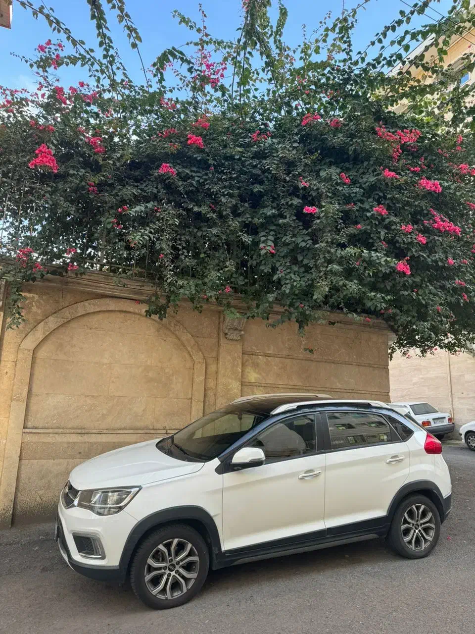 x22اتوماتیک|خودرو سواری و وانت|رشت, دیلمان|دیوار