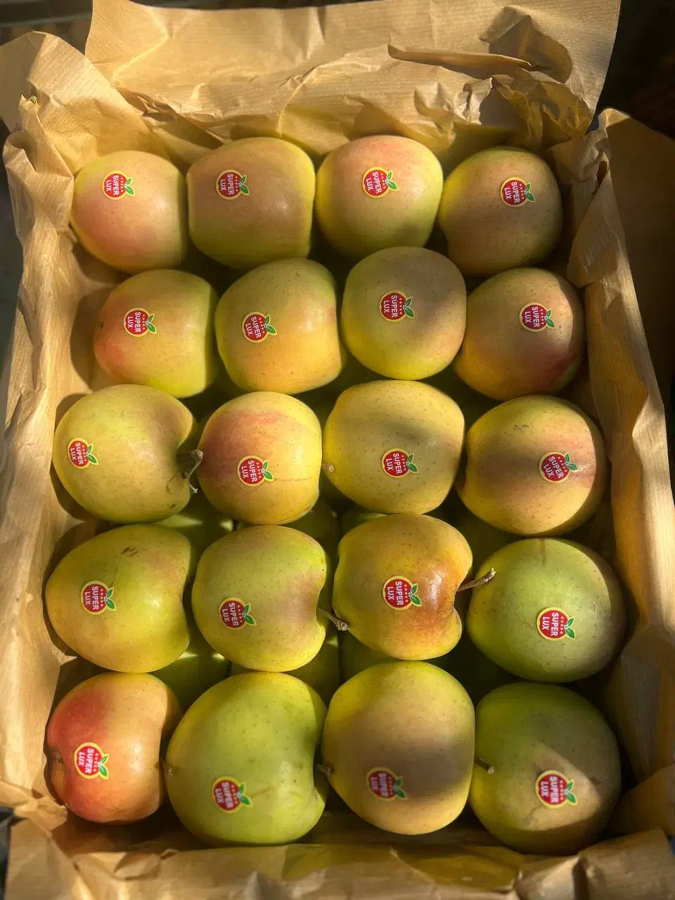 سیب لوکس ترگور|خوردنی و آشامیدنی|صومای برادوست, |دیوار