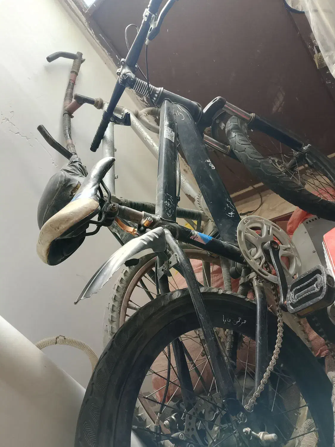 دوچرخه حرفه ای|دوچرخه، اسکیت، اسکوتر|ایرندگان, |دیوار