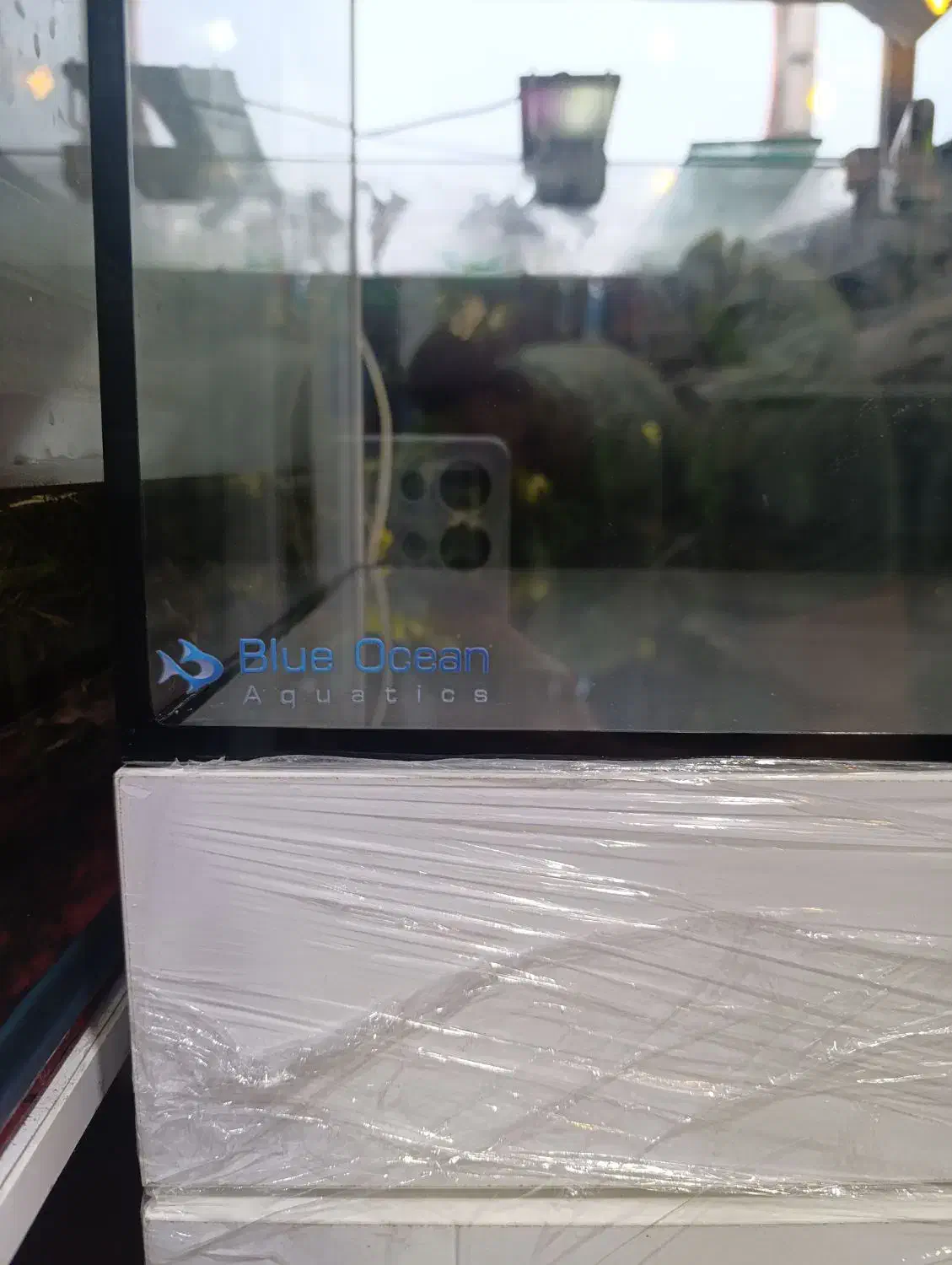 آکواریوم ریملس سایز ۶۰.۴۰.۴۰|ماهی|رشت, پل تالشان|دیوار