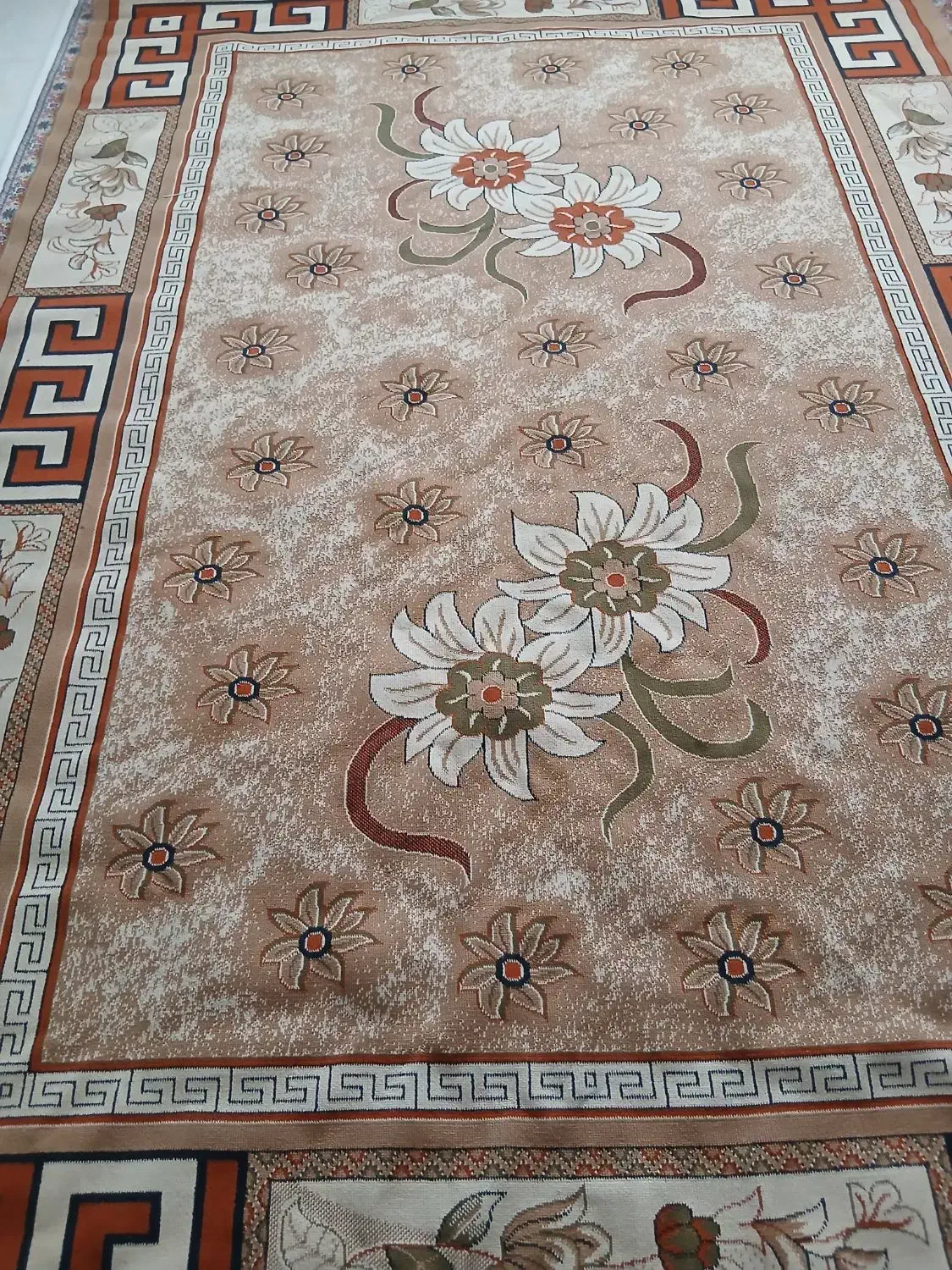 دو تا گلیم ۹ متری|گلیم، جاجیم، گبه|الیگودرز, |دیوار