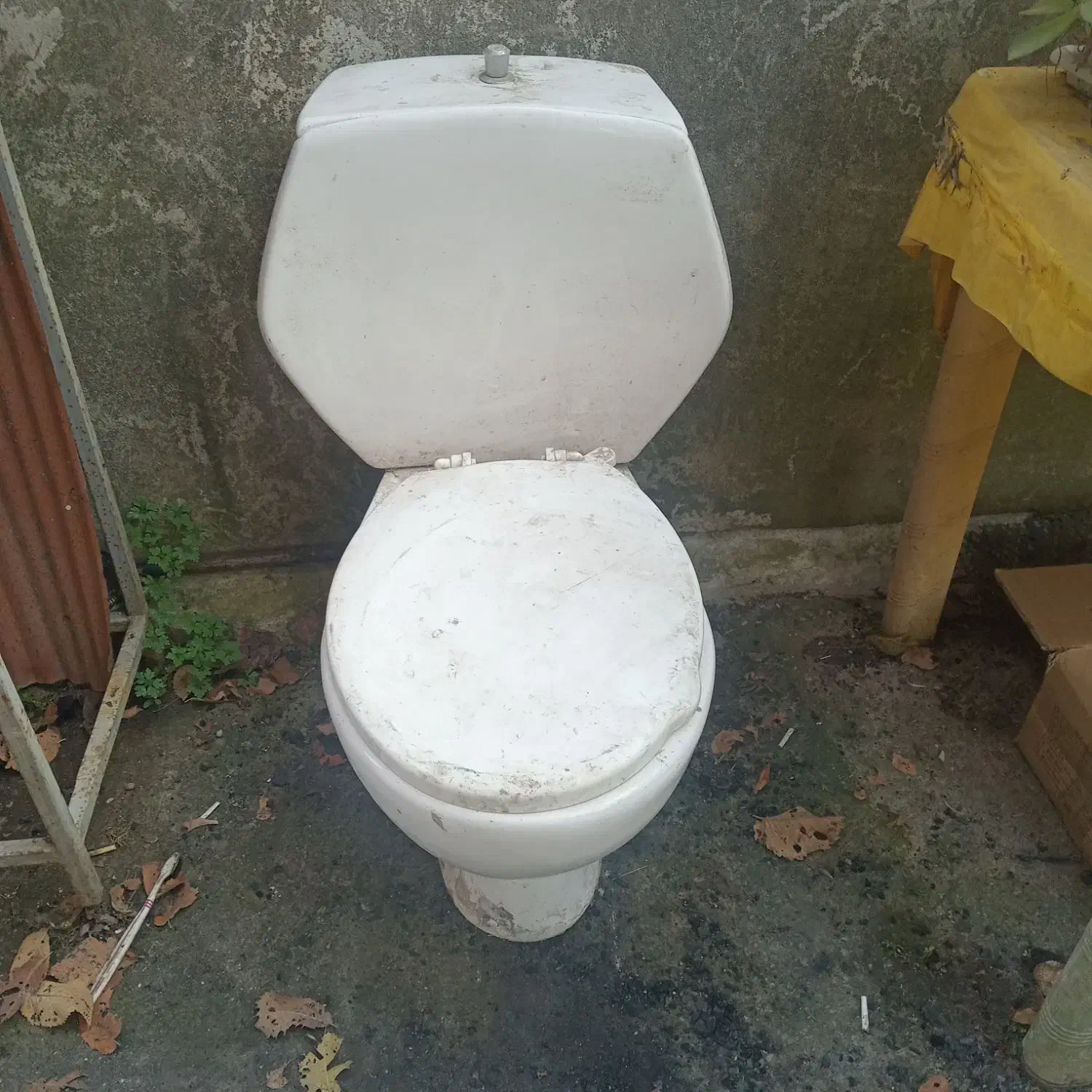 توالت فرنگی|لوازم سرویس بهداشتی|رودسر, |دیوار