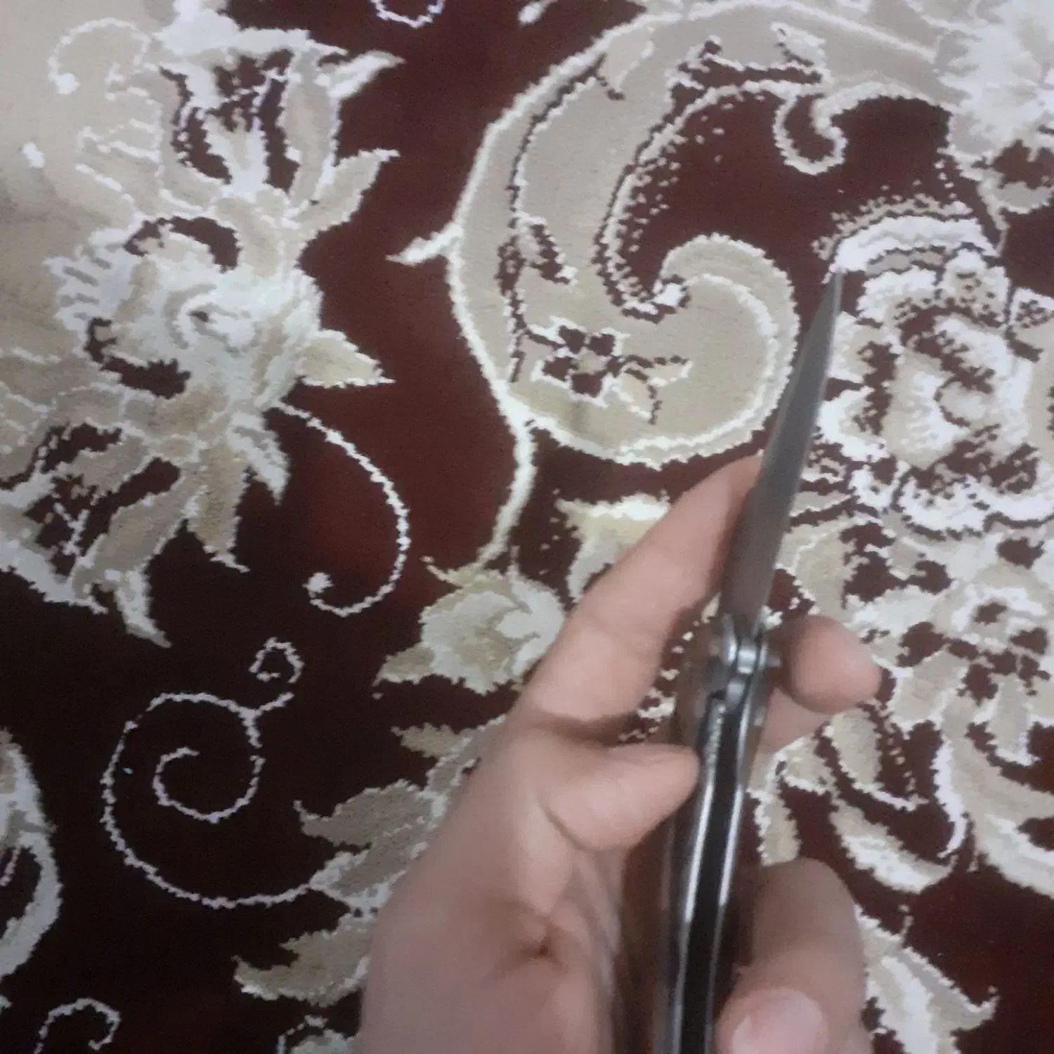 چاقو buck|کوهنوردی و کمپینگ|خرم‌آباد, |دیوار