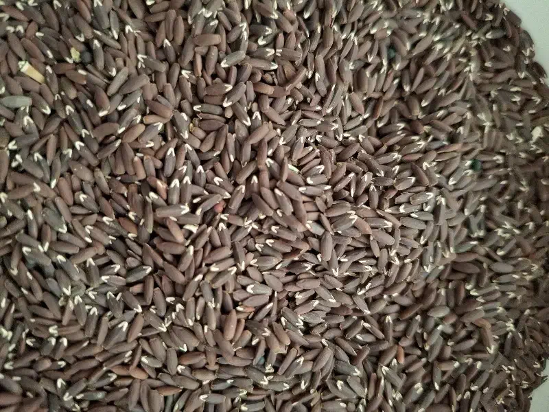 کنجد سیاه محلی|خوردنی و آشامیدنی|قم, ولیعصر|دیوار