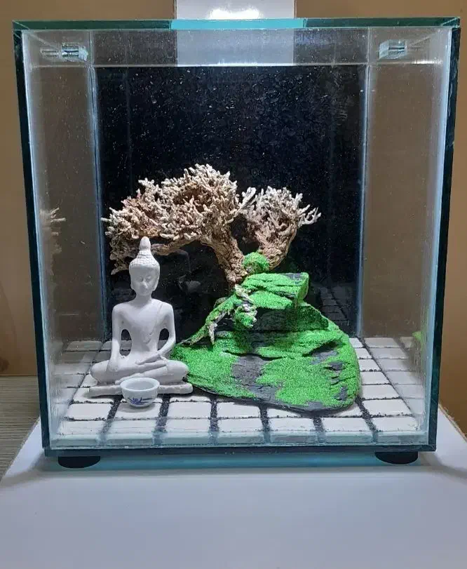 آکواریوم فایتر|ماهی|تهران, توحید|دیوار