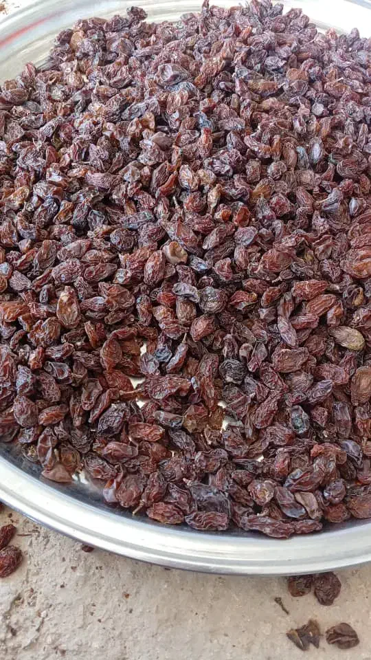 مویز|خوردنی و آشامیدنی|یاسوج, |دیوار