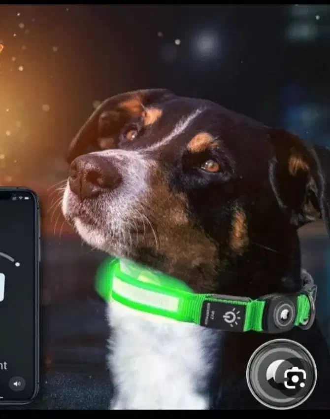 لوازم جانبی حیوانات|لوازم جانبی حیوانات|تهران, جوانمردان (اندیشه)|دیوار