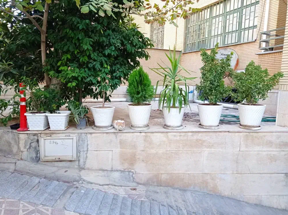 فروش تلفن ثابت رُند|تلفن رومیزی|شیراز, قدوسی شرقی|دیوار