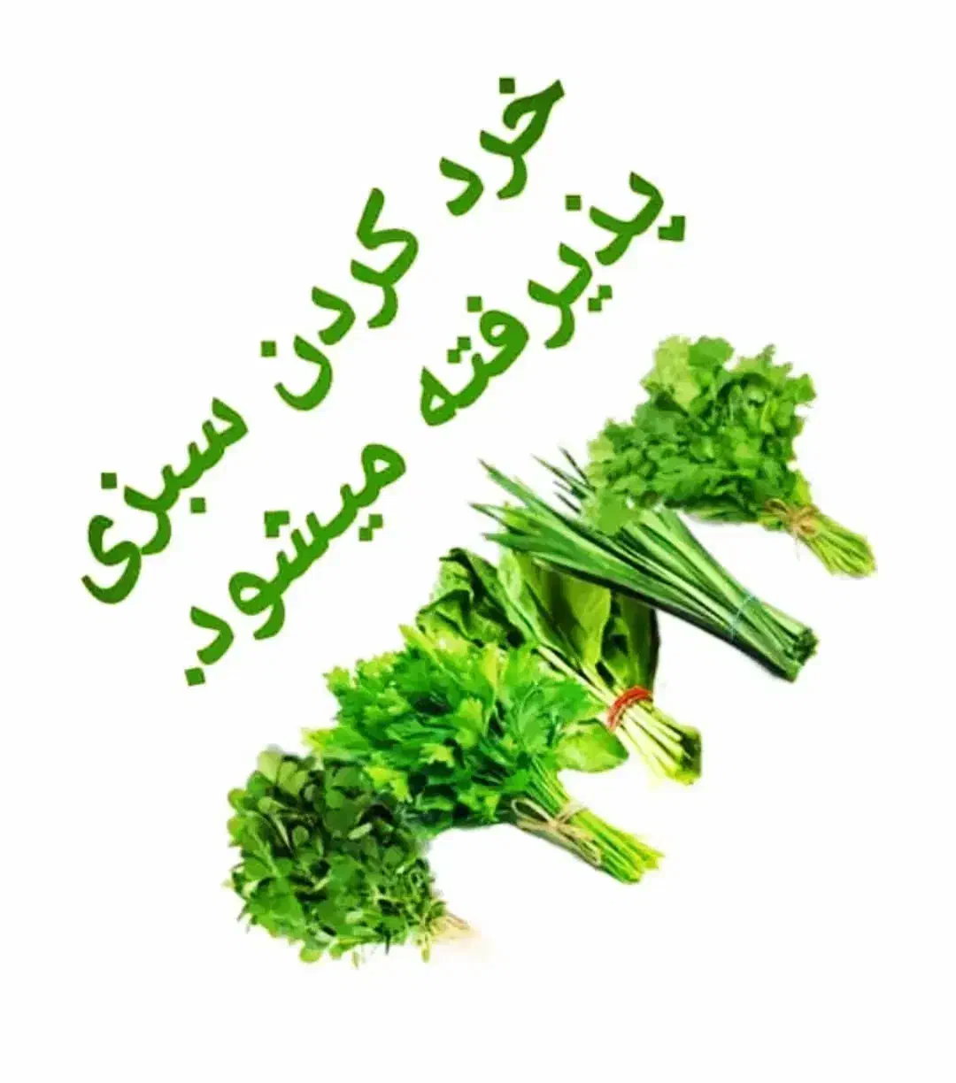خرد کردن انواع سبزی|خوردنی و آشامیدنی|اسکو, |دیوار