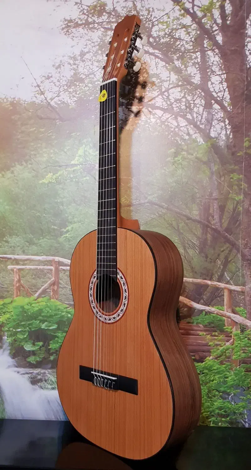 (گیتار)کلاسیک مدل پارسی m3|گیتار، بیس، امپلیفایر|یزد, |دیوار