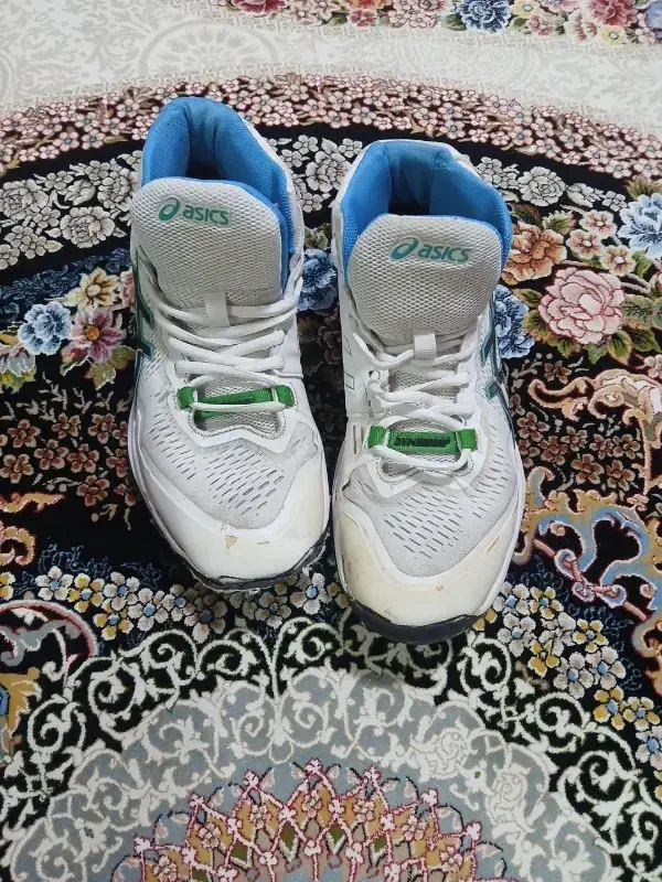 کتونی والیبال|کیف، کفش، کمربند|لشت نشا, |دیوار