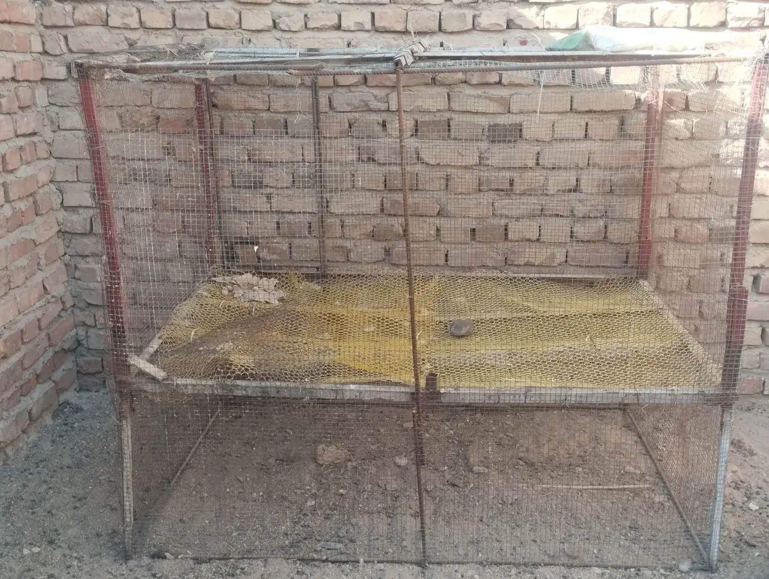 تور و قفس مرغی|لوازم جانبی حیوانات|خاش, |دیوار