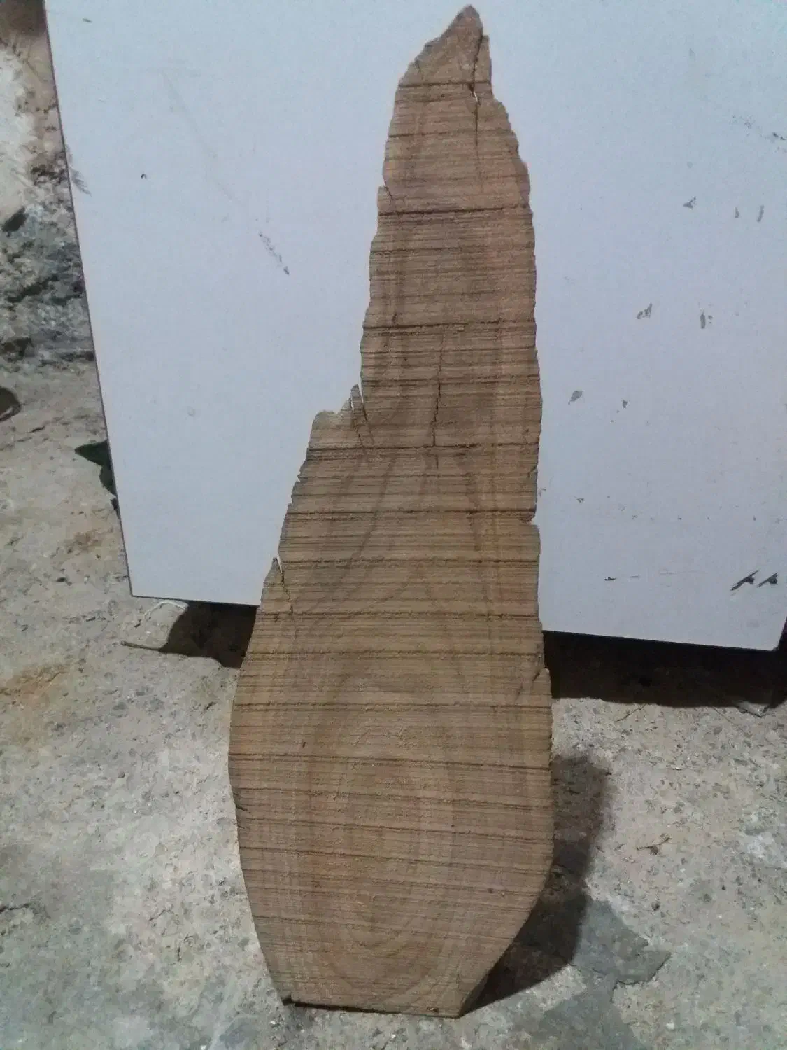 تنه درخت|صنایع دستی و سایر لوازم تزئینی|قم, الوندیه و گذر صادق|دیوار