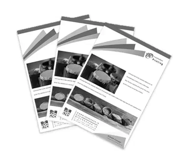 پرینت دانشجویی پشت و رو برگه ای ۲۰۰۰|خدمات رایانهای و موبایل|گرگان, |دیوار