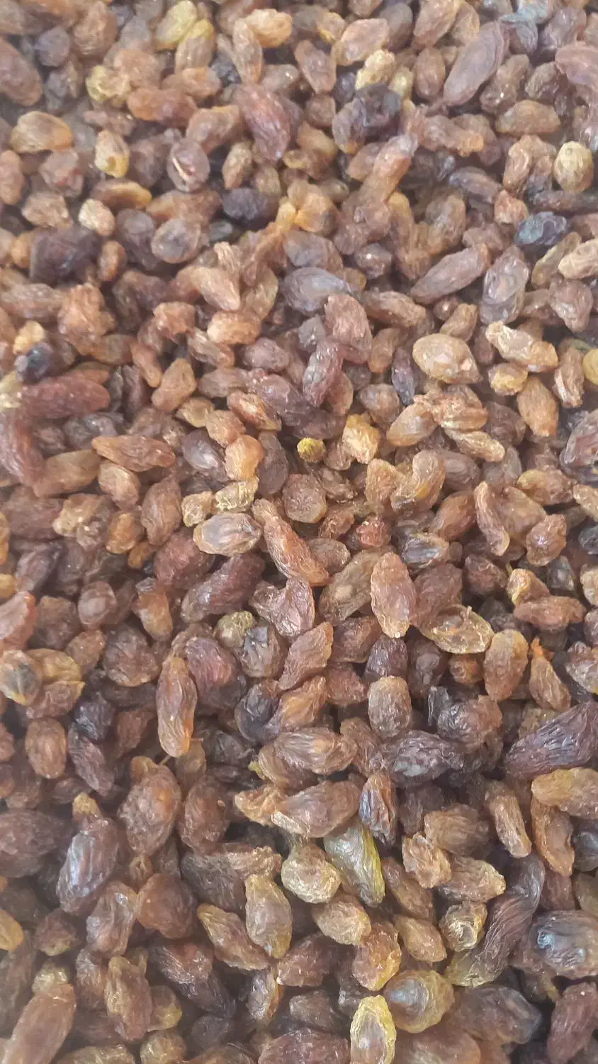 کشمش و مویز افتابی پاک شده|خوردنی و آشامیدنی|نجفآباد, منتظری جنوبی|دیوار