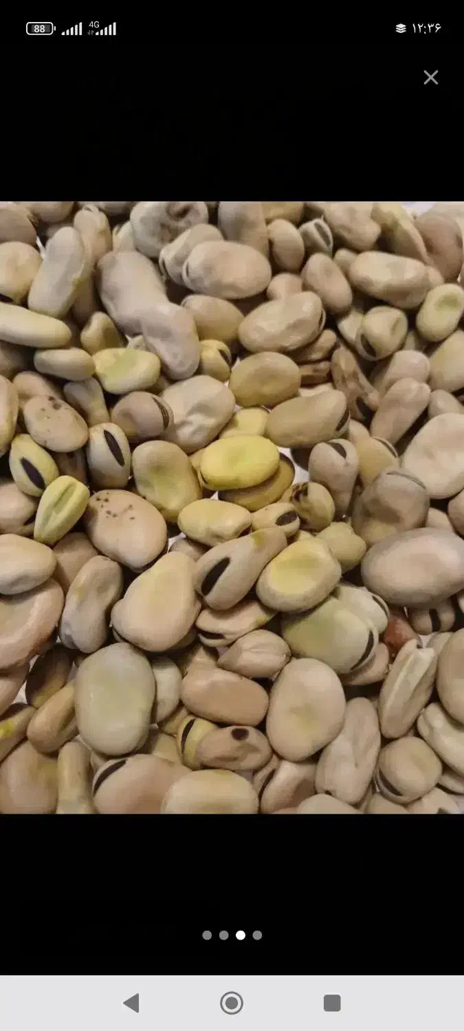 3تن موجود|خوردنی و آشامیدنی|مهربان, |دیوار