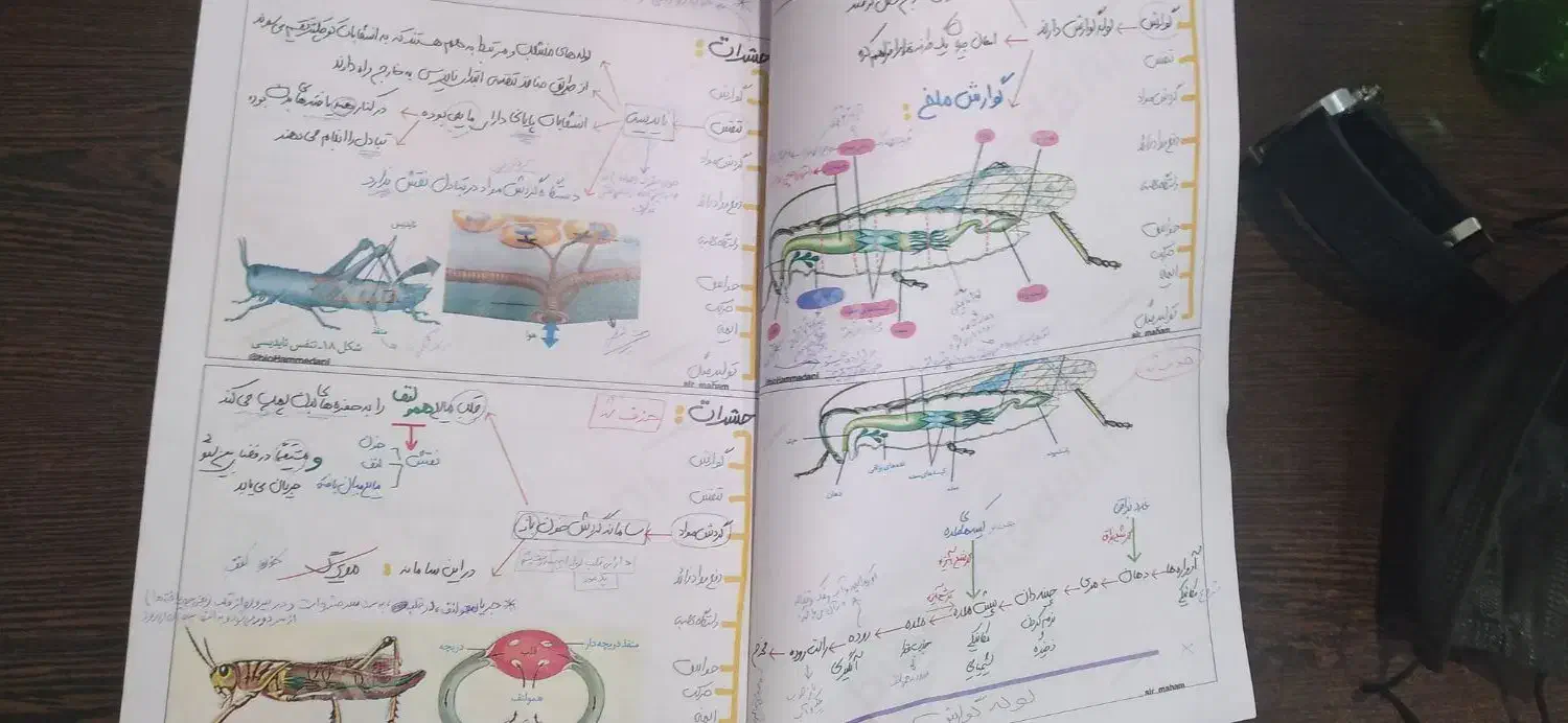 جزوه کل جانوری استاد همدانی|کتاب و مجله آموزشی|قم, پردیسان|دیوار