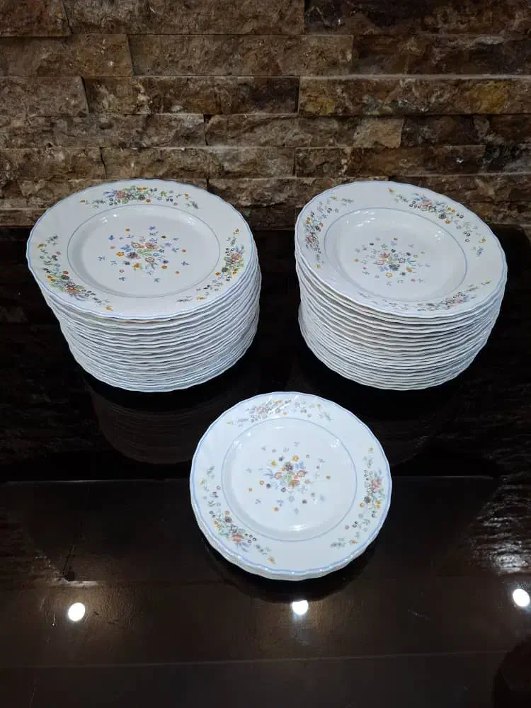 ارکوپال ویکتوریا فرانسه|ظروف سرو و پذیرایی|تهران, ونک|دیوار