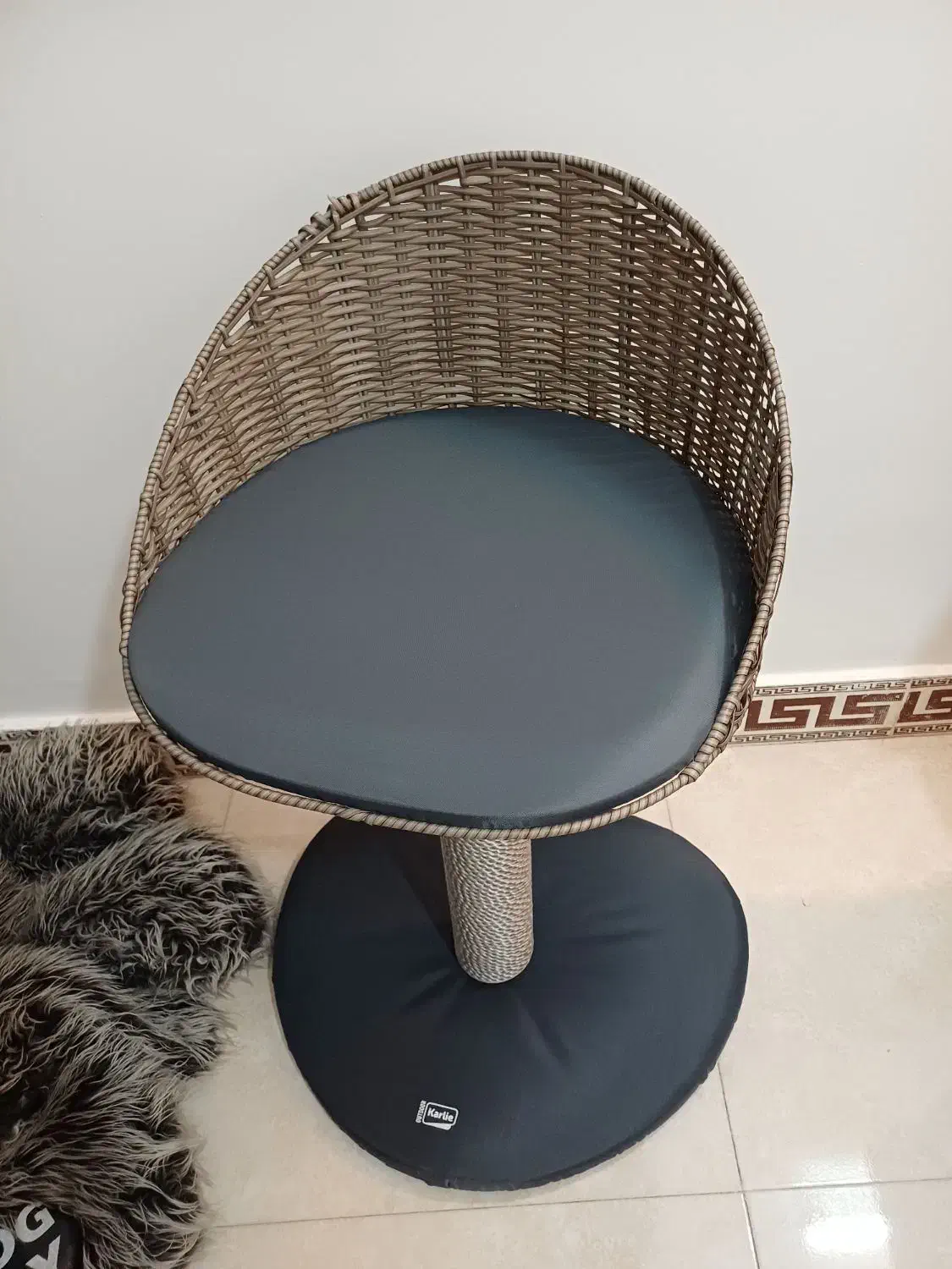 پت شاپ|لوازم جانبی حیوانات|شیراز, معالی‌آباد|دیوار