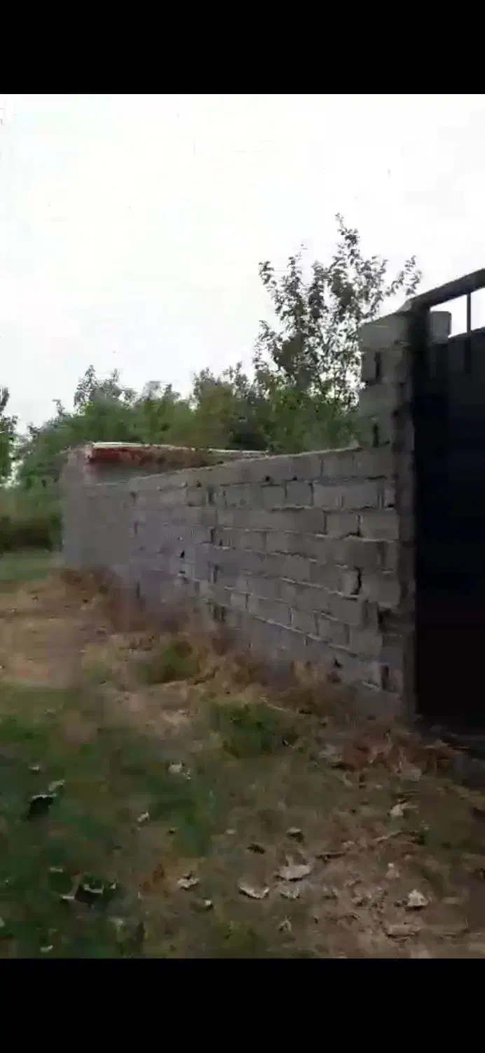 فروش فوری زمین زیر قیمت در سراجار|فروش زمین و ملک کلنگی|رودبنه, |دیوار