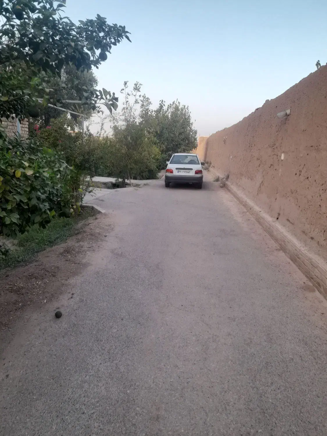 با سلام تک باری اجاره کسی داشت در خدمتم|خودرو سنگین|یزد, |دیوار