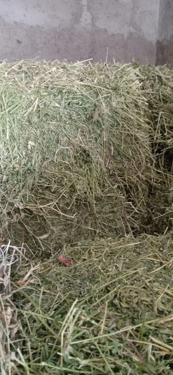 فروش یونجه چین دوم|حیوانات مزرعه|کوهین, |دیوار