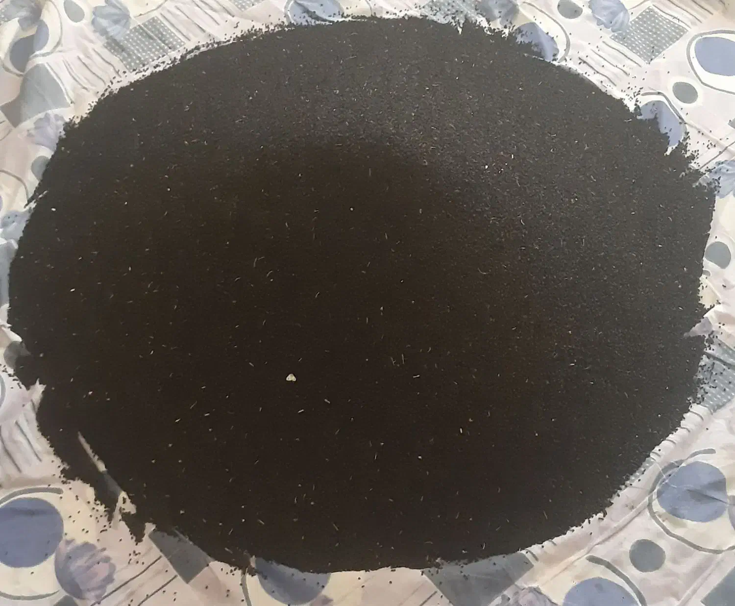 30کیلو بذر پیاز مینروا سفید با کیفیت|خدمات باغبانی و درختکاری|جیرفت, |دیوار