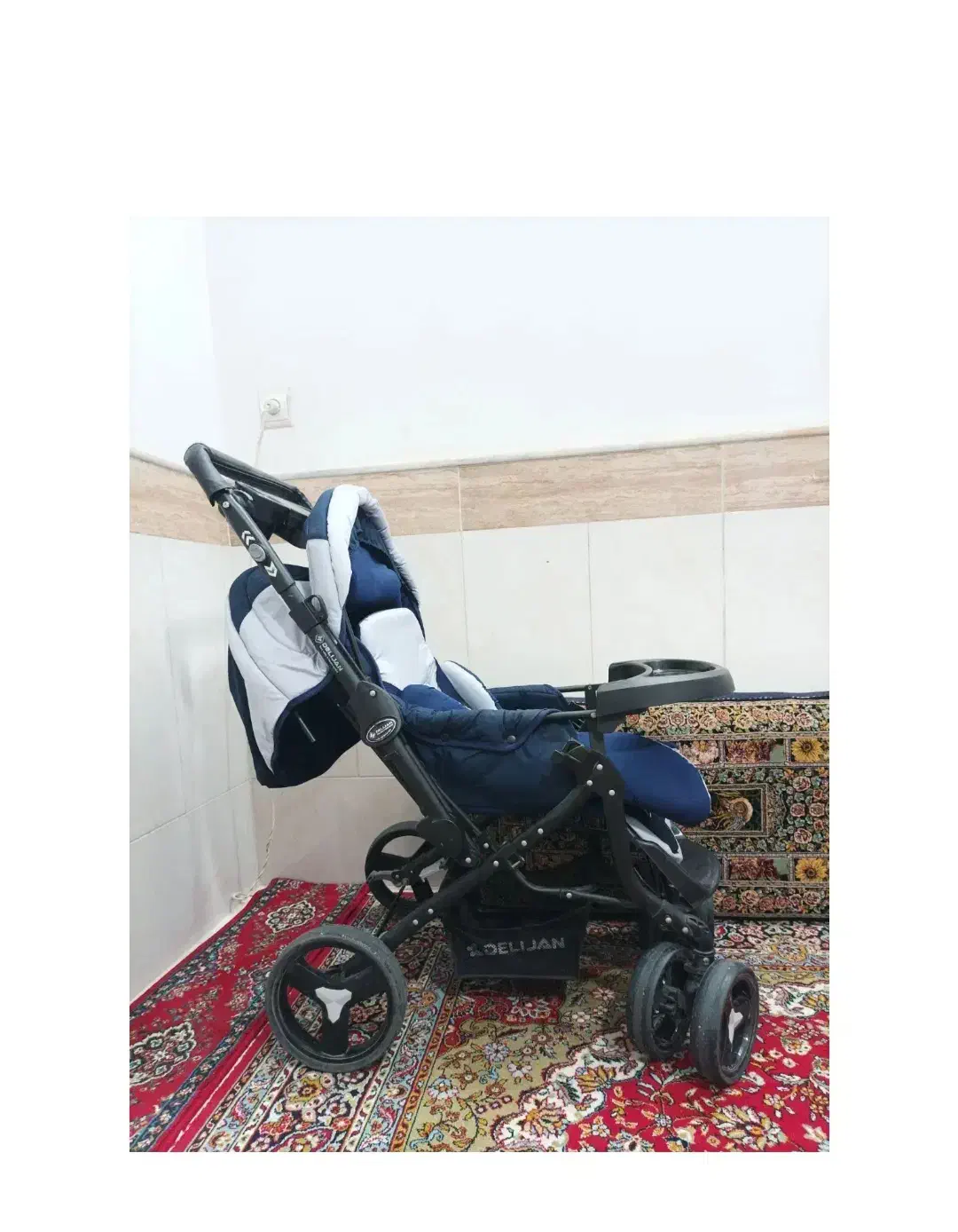 کالسکه دلیجان|کالسکه و لوازم جانبی|قم, چهل درخت‎|دیوار