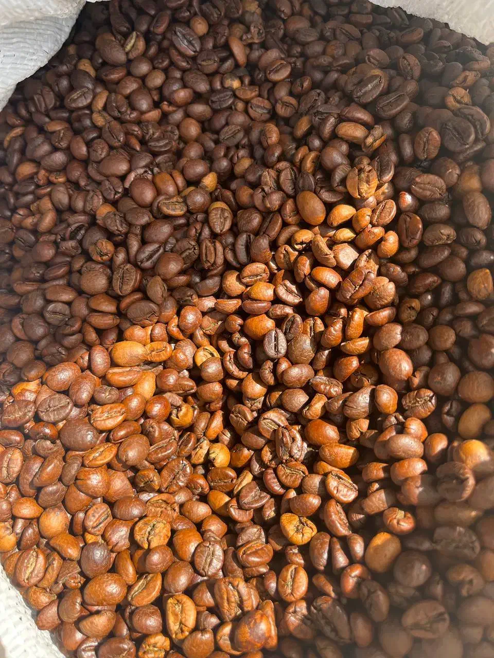 قهوه عمده شرکتی افتخار|عمده‌فروشی|بابلسر, |دیوار