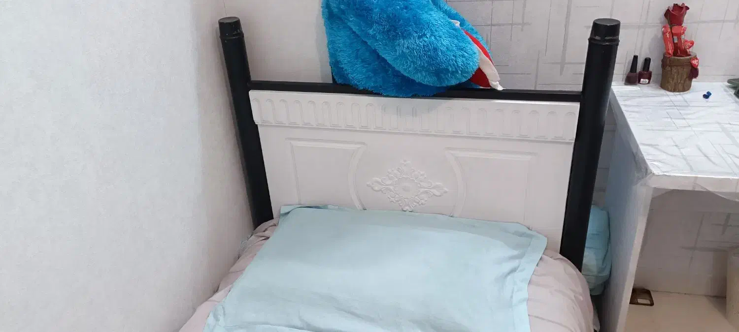 دو عدد تخت یک نفره در حد نو|تخت و سرویس خواب|کرمان, |دیوار