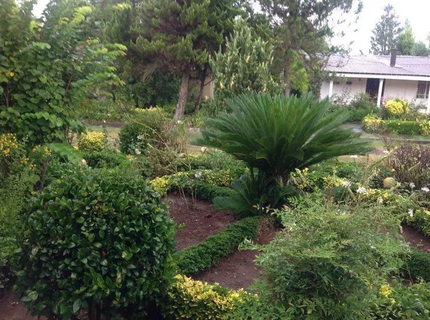 علف زنی|خدمات باغبانی و درختکاری|کومله, |دیوار