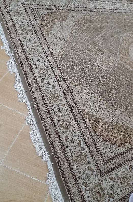 فرش دوازده  متری|فرش|رامسر, |دیوار