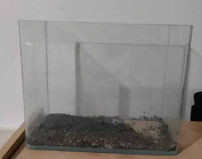 اکواریوم شرکتی لبه گرد سایز کوچک|ماهی|تربت‌حیدریه, حسنی بالا|دیوار