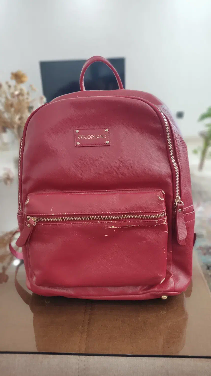 کوله پشتی کاملا سالم|کیف، کفش، کمربند|رشت, باهنر|دیوار