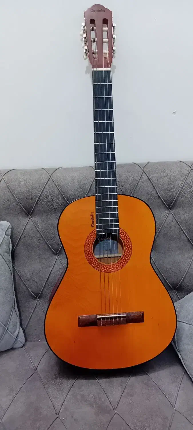 گیتار کلاسیک cordaba|گیتار، بیس، امپلیفایر|مشهد, کشف|دیوار
