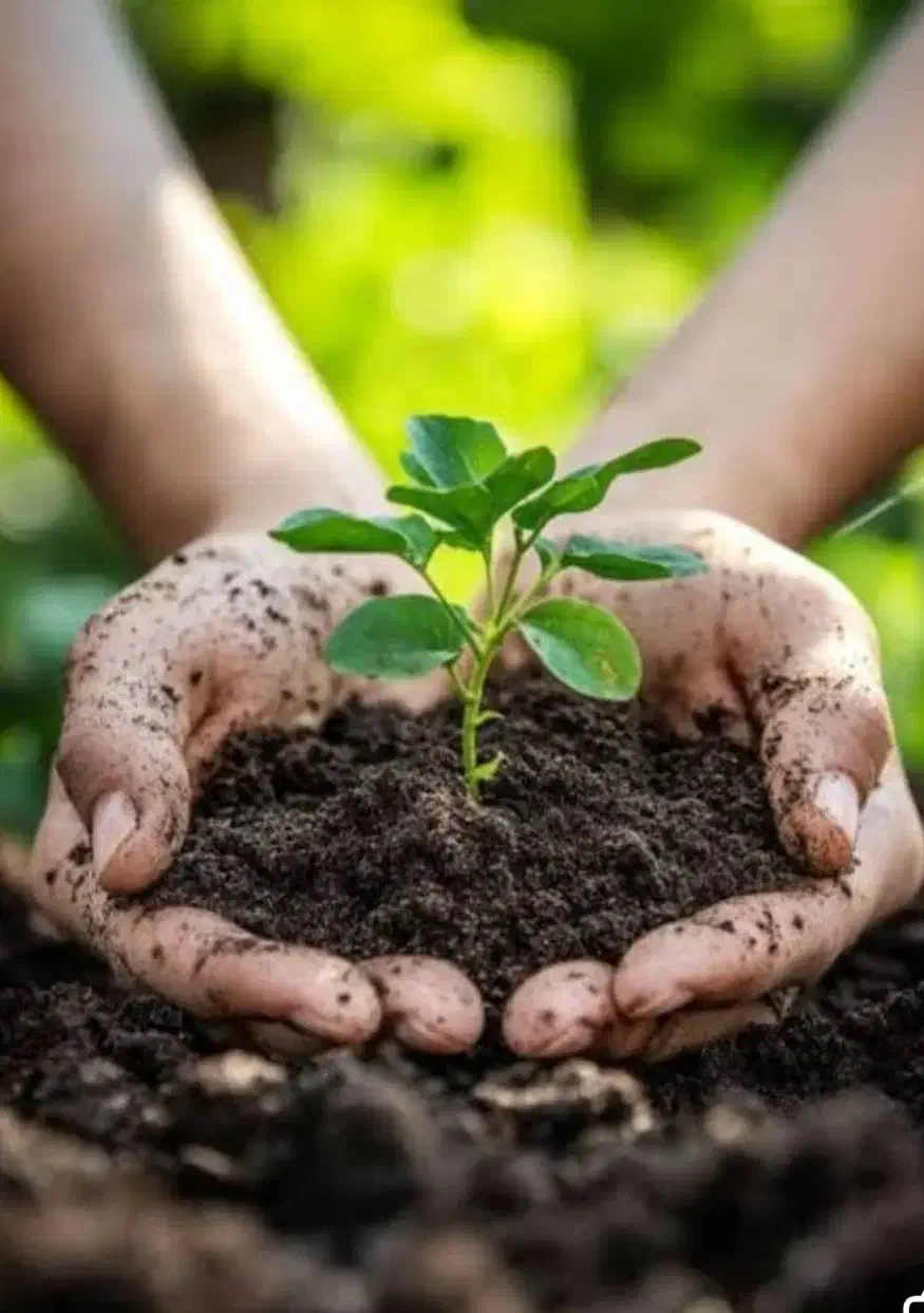 کودهای ارگانیک سبو سیب سلامت|خدمات باغبانی و درختکاری|قره ضیاالدین, |دیوار