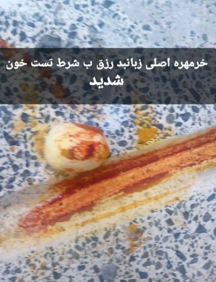 مهره افغان|جواهرات|اهواز, شریعتی جنوبی|دیوار